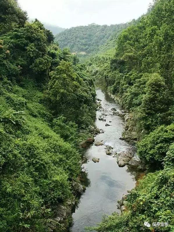 废品机械师